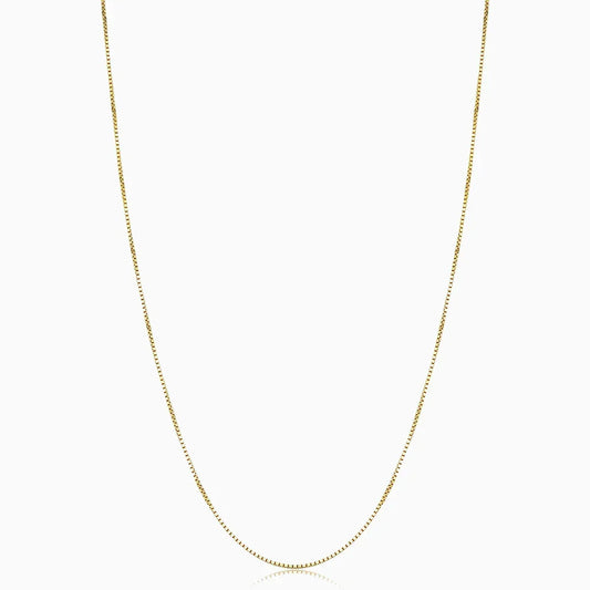 Bodega Krave Kasse | Guld